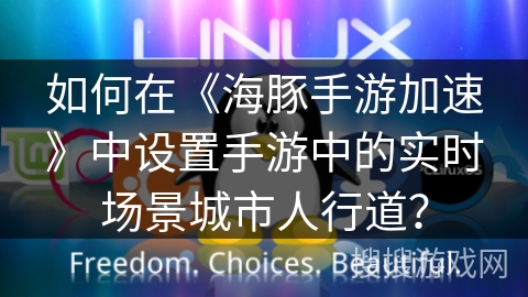 如何在《海豚手游加速》中设置手游中的实时场景城市人行道？