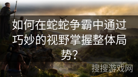 如何在蛇蛇争霸中通过巧妙的视野掌握整体局势？