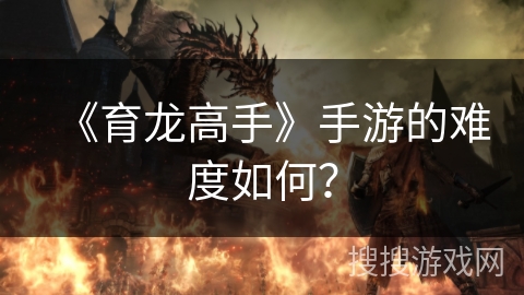 《育龙高手》手游的难度如何？