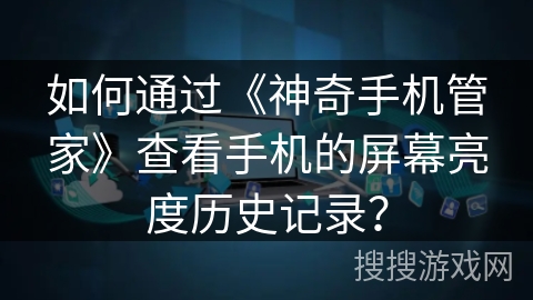 如何通过《神奇手机管家》查看手机的屏幕亮度历史记录？