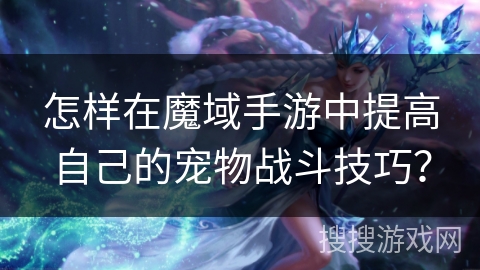 怎样在魔域手游中提高自己的宠物战斗技巧？