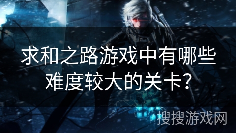 求和之路游戏中有哪些难度较大的关卡？