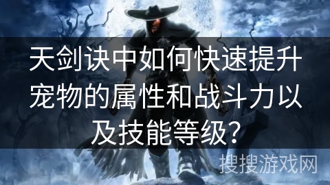 天剑诀中如何快速提升宠物的属性和战斗力以及技能等级？