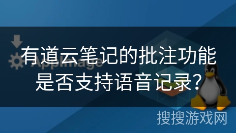 有道云笔记的批注功能是否支持语音记录？