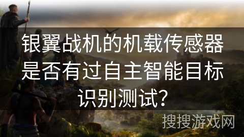 银翼战机的机载传感器是否有过自主智能目标识别测试？