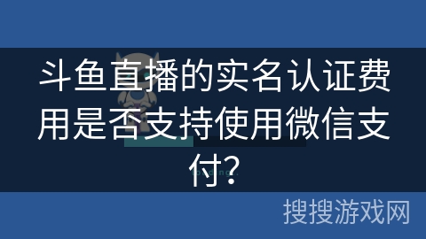 斗鱼直播的实名认证费用是否支持使用微信支付？