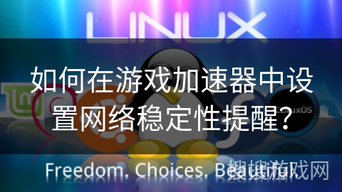 如何在游戏加速器中设置网络稳定性提醒？
