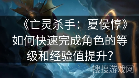 《亡灵杀手：夏侯惇》如何快速完成角色的等级和经验值提升？