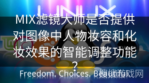 MIX滤镜大师是否提供对图像中人物妆容和化妆效果的智能调整功能？