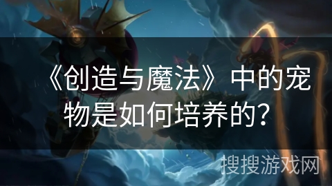 《创造与魔法》中的宠物是如何培养的？