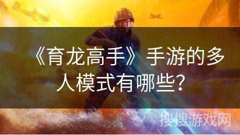 《育龙高手》手游的多人模式有哪些？