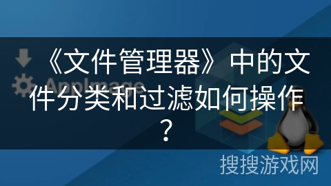 《文件管理器》中的文件分类和过滤如何操作？