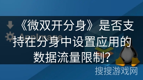 《微双开分身》是否支持在分身中设置应用的数据流量限制？