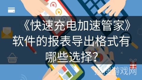 《快速充电加速管家》软件的报表导出格式有哪些选择？