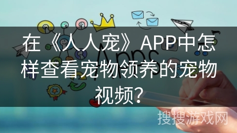 在《人人宠》APP中怎样查看宠物领养的宠物视频？