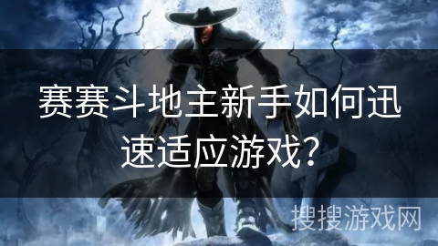 赛赛斗地主新手如何迅速适应游戏？