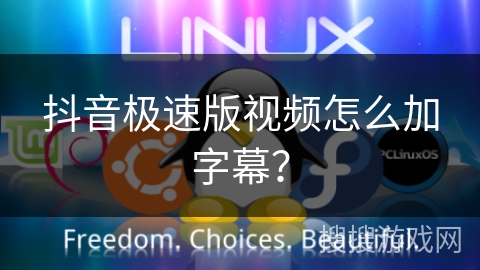 抖音极速版视频怎么加字幕？