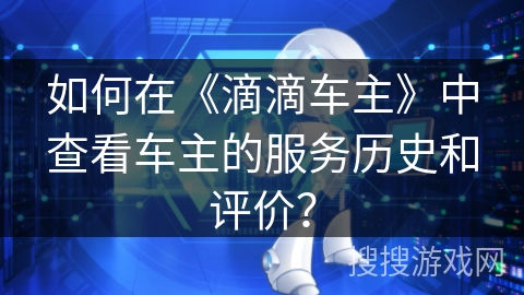 如何在《滴滴车主》中查看车主的服务历史和评价？