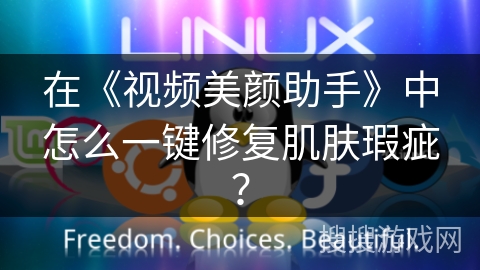 在《视频美颜助手》中怎么一键修复肌肤瑕疵? 在《视频美颜助手》中怎么一键修复肌肤瑕疵?