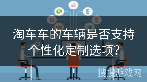 淘车车的车辆是否支持个性化定制选项？