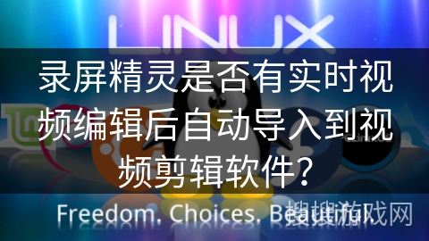 录屏精灵是否有实时视频编辑后自动导入到视频剪辑软件？