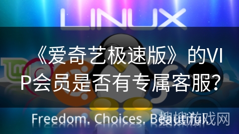 《爱奇艺极速版》的VIP会员是否有专属客服？