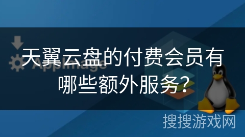 天翼云盘的付费会员有哪些额外服务？