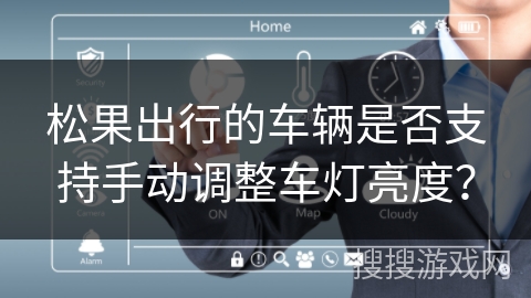 松果出行的车辆是否支持手动调整车灯亮度？
