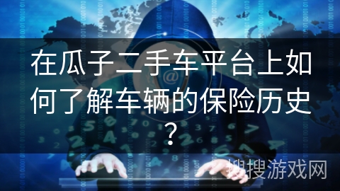 在瓜子二手车平台上如何了解车辆的保险历史？