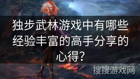 独步武林游戏中有哪些经验丰富的高手分享的心得？