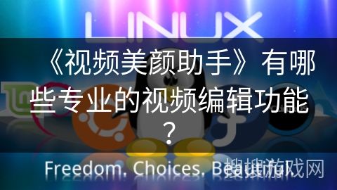 《视频美颜助手》有哪些专业的视频编辑功能？