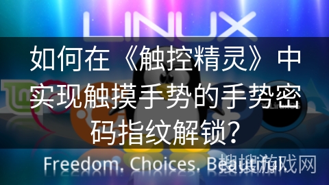 如何在《触控精灵》中实现触摸手势的手势密码指纹解锁？
