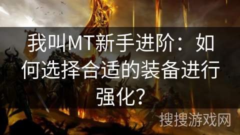 我叫MT新手进阶：如何选择合适的装备进行强化？