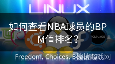 如何查看NBA球员的BPM值排名? 如何查看NBA球员的BPM值排名?