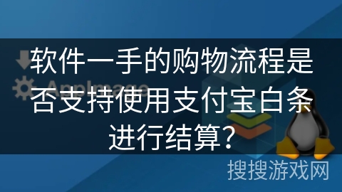 软件一手的购物流程是否支持使用支付宝白条进行结算？