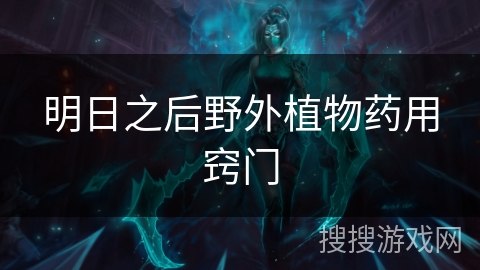 明日之后野外植物药用窍门 明日之后野外植物药用窍门