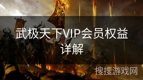 武极天下VIP会员权益详解