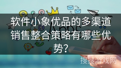 软件小象优品的多渠道销售整合策略有哪些优势？