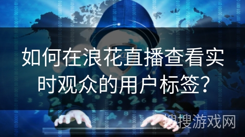 如何在浪花直播查看实时观众的用户标签? 如何在浪花直播查看实时观众的用户标签?