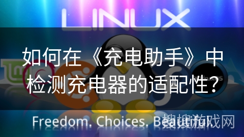 如何在《充电助手》中检测充电器的适配性？