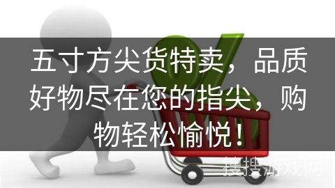 五寸方尖货特卖,品质好物尽在您的指尖,购物轻松愉悦!