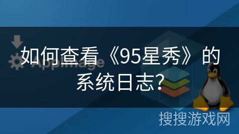 如何查看《95星秀》的系统日志？