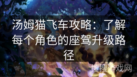 汤姆猫飞车攻略:了解每个角色的座驾升级路径 汤姆猫飞车攻略:了解每个角色的座驾升级路径