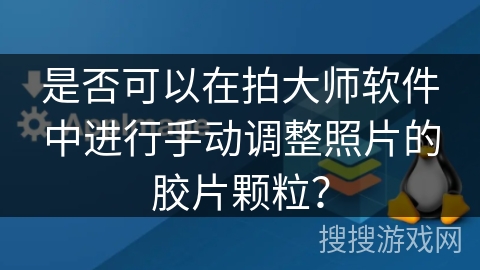 是否可以在拍大师软件中进行手动调整照片的胶片颗粒？