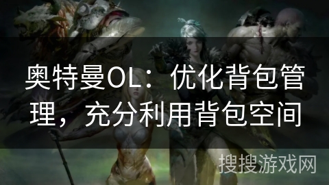 奥特曼OL：优化背包管理，充分利用背包空间