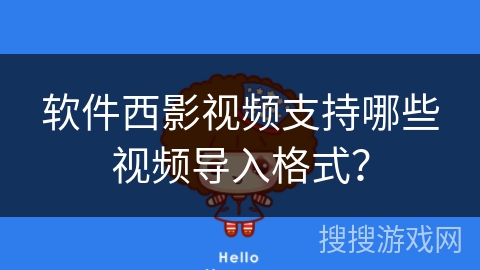 软件西影视频支持哪些视频导入格式？