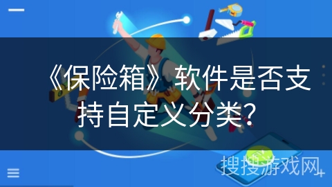 《保险箱》软件是否支持自定义分类？