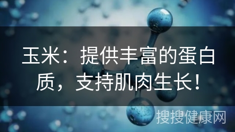 玉米：提供丰富的蛋白质，支持肌肉生长！