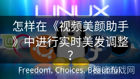 怎样在《视频美颜助手》中进行实时美发调整? 怎样在《视频美颜助手》中进行实时美发调整?