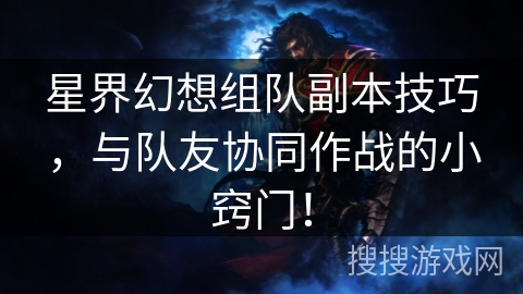 星界幻想组队副本技巧，与队友协同作战的小窍门！
